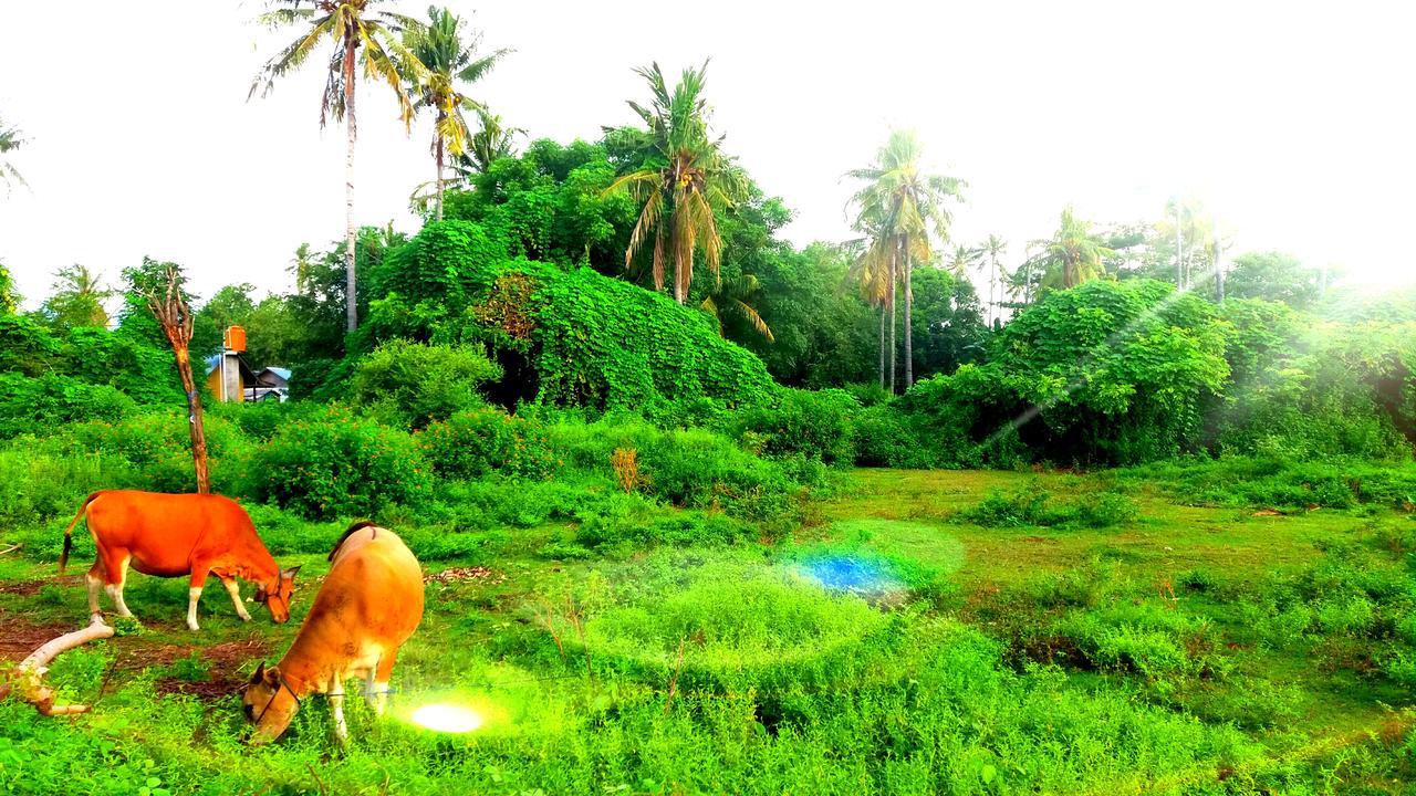 Ofal Lumbung Gili Islands Exterior photo